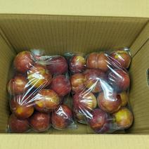 すもも秋姫 3.5kg 果物や野菜などのお取り寄せ宅配食材通販産地直送アウル