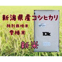 特別栽培米新潟県産コシヒカリ10k 10kg 果物や野菜などのお取り寄せ宅配食材通販産地直送アウル