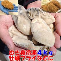 冷凍 牡蠣むき身！４ｋｇ（約120粒）牡蠣フライなどに 牡蠣 剥き身 むき身 牡蛎鍋 牡蠣鍋 アヒージョに 4ｋｇ 果物や野菜などのお取り寄せ宅配食材通販産地直送アウル