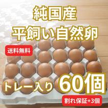 【トレー入り｜送料無料！合計63個（60個+割れ保障3個）】とれたて純国産平飼い自然卵（有精卵）全て国産・添加物／保存料不使用｜大自然の恵みをそのまま提供 63個 果物や野菜などのお取り寄せ宅配食材通販産地直送アウル