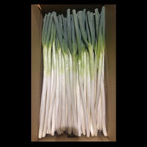 ねぎ（野菜）の産地直送商品一覧（通販・お取り寄せ）-産直アウル