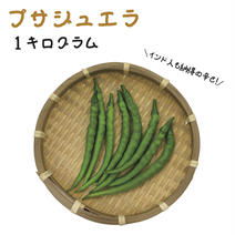 激辛青唐辛子❗ 500g 農薬を使わない農家直送 収穫当日出荷！】激辛！青唐辛子 無農薬栽培 500g～｜ししとう