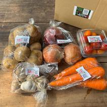 野菜カレーセット1.8kg☆有機JAS認証☆ 野菜カレーセット 果物や野菜などのお取り寄せ宅配食材通販産地直送アウル