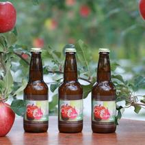 酸化防止剤無添加！シードルとりんごジュースセット Ogura Cidre 3本とりんごジュース2本 果物や野菜などのお取り寄せ宅配食材通販産地直送アウル