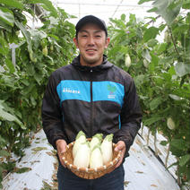 感動✨美白茄子💎 5本入り 果物や野菜などのお取り寄せ宅配食材通販産地直送アウル