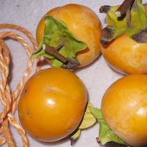 ヤマコー農園のつるし柿セット 約10kg 果物や野菜などのお取り寄せ宅配食材通販産地直送アウル