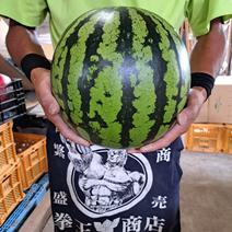 山形県産　すいか　羅皇ザ・スウィート　2Lサイズ　家庭用 スイカ　2Lサイズ　6.8～8㎏ 1玉 果物や野菜などのお取り寄せ宅配食材通販産地直送アウル