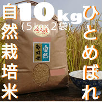 自然栽培 氷温熟成 ひとめぼれ R2年産 山形県産 庄内米 5分つき 10kg 10kg(5kg×2袋) 果物や野菜などのお取り寄せ宅配食材通販産地直送アウル