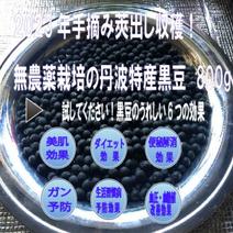 丹波黒豆800g　2023年手摘み莢出し 無農薬栽培！ 800g 果物や野菜などのお取り寄せ宅配食材通販産地直送アウル