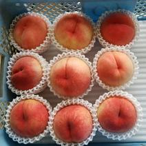 白鳳　早生品種　4Lサイズ　化粧箱10玉入り 約３キロ 果物や野菜などのお取り寄せ宅配食材通販産地直送アウル