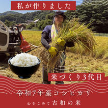 令和7年産新米入荷！お米農家さんから直接購入♪ | 産直アウル 農家