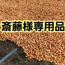 斎藤様専用品　洗い金胡麻 2kg 果物や野菜などのお取り寄せ宅配食材通販産地直送アウル