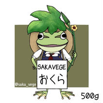 新鮮！香川県産ハウスオクラ 500g【SAKAVEGE】さかした農園  500g 果物や野菜などのお取り寄せ宅配食材通販産地直送アウル