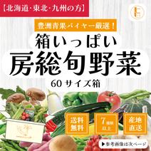 【北海道・東北・九州へ配送の方】60サイズ箱いっぱい房総旬野菜詰め合わせ（60サイズ箱） 60サイズ箱いっぱい 果物や野菜などのお取り寄せ宅配食材通販産地直送アウル
