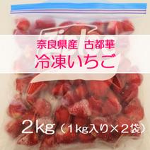 冷凍いちご 冷凍いちご２kg（１kg×２袋） 果物や野菜などのお取り寄せ宅配食材通販産地直送アウル