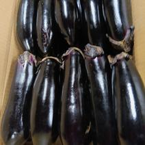 野菜人気ランキング ｜ 産地直送・通販・お取り寄せ【産直アウル】