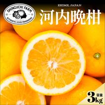 晩柑・河内晩柑の産地直送食材一覧（通販・お取り寄せ）-産直アウル