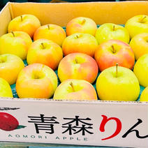 【家庭用】トキ 約5キロ 約５キロ 果物や野菜などのお取り寄せ宅配食材通販産地直送アウル