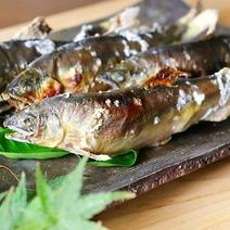 【5月限定】信州あゆの【若鮎】生鮮 10尾 果物や野菜などのお取り寄せ宅配食材通販産地直送アウル