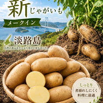 メークインの産地直送食材一覧（通販・お取り寄せ）-産直アウル