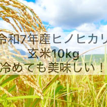令和7年産新米入荷！お米農家さんから直接購入♪ ｜ 産直アウル 農家