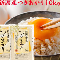 [新米]   つきあかり　白米　20キロ   20kg   令和4年産　(送料込み) 5kg×4 果物や野菜などのお取り寄せ宅配食材通販産地直送アウル