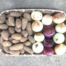 じゃがいも&玉ねぎセット じゃがいも(メークイン)2.4kg、玉ねぎ2.4kg 果物や野菜などのお取り寄せ宅配食材通販産地直送アウル