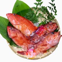 大容量で超お買い得！送料込み！アカハタ２㎏、カサゴ２㎏の計４㎏セット アカハタ２㎏、カサゴ２㎏、計４㎏ 果物や野菜などのお取り寄せ宅配食材通販産地直送アウル