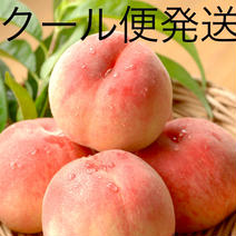 【クール配送　お中元　のし対応】林農園の桃　約2kg（6個〜8個入り） クール配送　桃　約2kg 梅雨の時期を乗り切ろう！6月の旬 通販