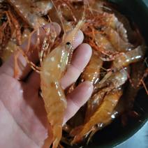 【本日最終日】春の牡丹海老 中サイズ   500g 500g  約27匹前後 果物や野菜などのお取り寄せ宅配食材通販産地直送アウル
