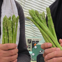 農家直送ベジタブルクラブのアスパラガス4kg 4kg 果物や野菜などのお取り寄せ宅配食材通販産地直送アウル