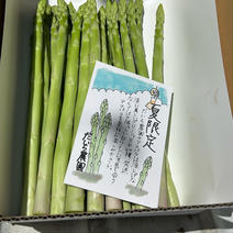 初夏のアスパラガス　20〜25本 1キロ 果物や野菜などのお取り寄せ宅配食材通販産地直送アウル