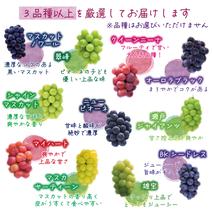 W3M-2 花笑み農園　訳あり『ブドウ3種以上MIX』2kg【9/16～順次発送】 2kg 果物や野菜などのお取り寄せ宅配食材通販産地直送アウル