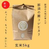 【新米/玄米】令和4年産　那須の麓のコシヒカリ5kg 玄米5kg 果物や野菜などのお取り寄せ宅配食材通販産地直送アウル