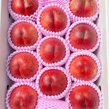 ネクもも🍑ハネージュ🍑3キロ箱(10玉〜12玉)化粧箱 約3キロ 果物や野菜などのお取り寄せ宅配食材通販産地直送アウル