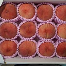 桃あかつきギフト12玉 3kg 果物や野菜などのお取り寄せ宅配食材通販産地直送アウル