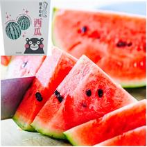くまもと食彩の力 産地直送 熊本 すいか 1玉 約4Kg 2Lサイズ以上 特A優品【001】 西瓜  熊本県産 果物 フルーツ ギフト プレゼント用【バイヤー推奨商品】 1玉 約4Kg 箱込み 果物や野菜などのお取り寄せ宅配食材通販産地直送アウル