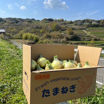淡路島産  玉ねぎ 淡路島産 玉ねぎ10kg 果物や野菜などのお取り寄せ宅配食材通販産地直送アウル