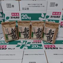 令和5年産🎀✨味に自信あり🌾玄米❇️令和5年新潟県五泉市四ヶ村1等特別栽培米コシヒカリ5kg×4 20kg　精白米 コシヒカリ5kg×4　20kg　玄米　　　　　　　　　　　　包装材質量含む　　　　　　　　　　包装材質量含む 果物や野菜などのお取り寄せ宅配食材通販産地直送アウル