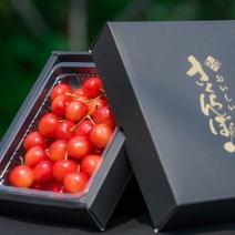 紅秀峰の産地直送食材一覧（通販・お取り寄せ）-産直アウル