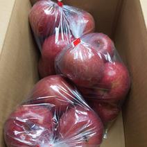 りんご家庭用4.5kg 4.5kg 果物や野菜などのお取り寄せ宅配食材通販産地直送アウル