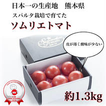【父の日】【極み】受賞歴３回‼️ソムリエトマト1.3kg（6玉から10玉） 1.3kg 果物や野菜などのお取り寄せ宅配食材通販産地直送アウル