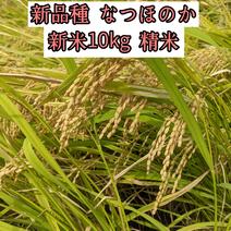 【R6新米🌾アウルの日】長崎産 新品種 なつほのか 10kg 精米 精米10kg 果物や野菜などのお取り寄せ宅配食材通販産地直送アウル