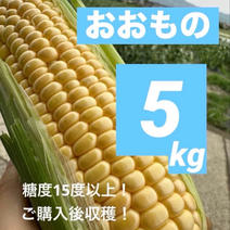 おおものの産地直送食材一覧（通販・お取り寄せ）-産直アウル