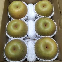 幸水　６玉入り(2箱）　5kg以上 (農カード付き） 5kg 果物や野菜などのお取り寄せ宅配食材通販産地直送アウル