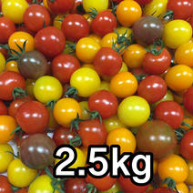サザキ農園の『カラフルミニトマト』ミックスセット2.5kg 2.5kg 果物や野菜などのお取り寄せ宅配食材通販産地直送アウル
