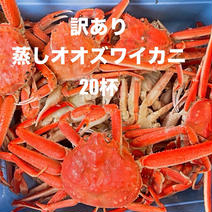 北海道えりも産訳あり蒸しオオズワイカニ20杯 20杯 果物や野菜などのお取り寄せ宅配食材通販産地直送アウル