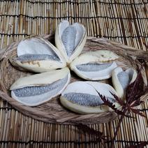 訳あり食材・商品 ｜ 【産直アウル】生産者の応援にも繋がる新鮮食材の