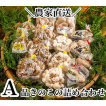A品きのこの詰め合わせ 1.2kg 果物や野菜などのお取り寄せ宅配食材通販産地直送アウル