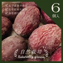 【Frozen Passion Jewel】フローズンパッションジュエル 凍結パッションフルーツ６玉 果物や野菜などのお取り寄せ宅配食材通販産地直送アウル